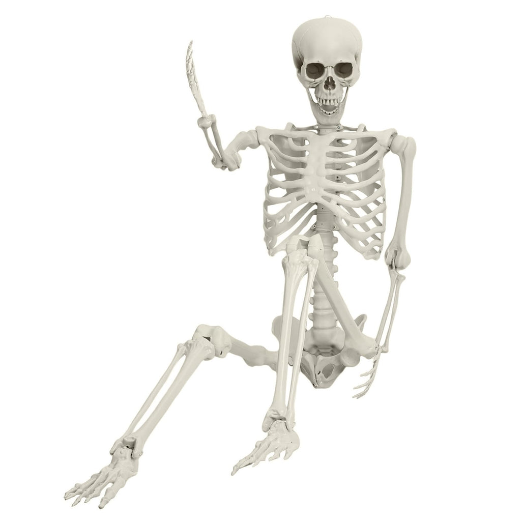 5.4FT Poseable Skeleton with Movable Joints S8761