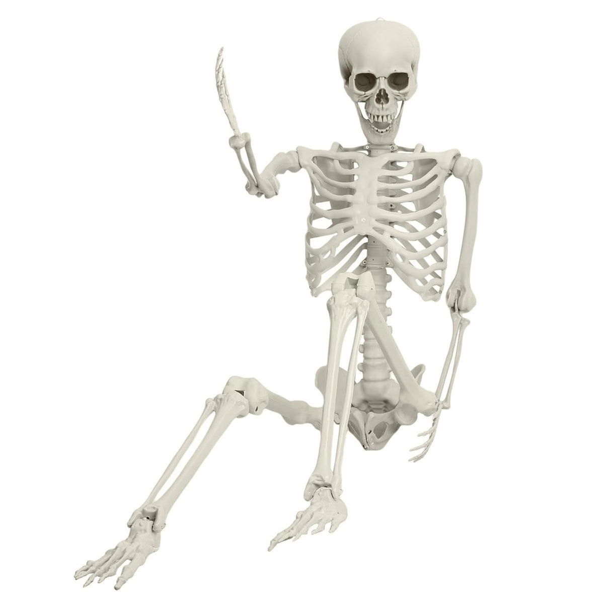 5.4FT Poseable Skeleton with Movable Joints S8761
