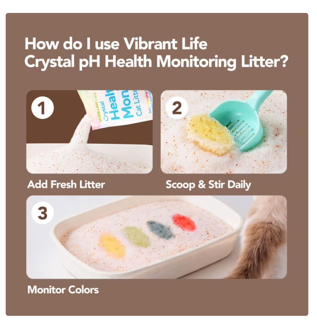 Unscented 8 Lb Cat Litter G78888