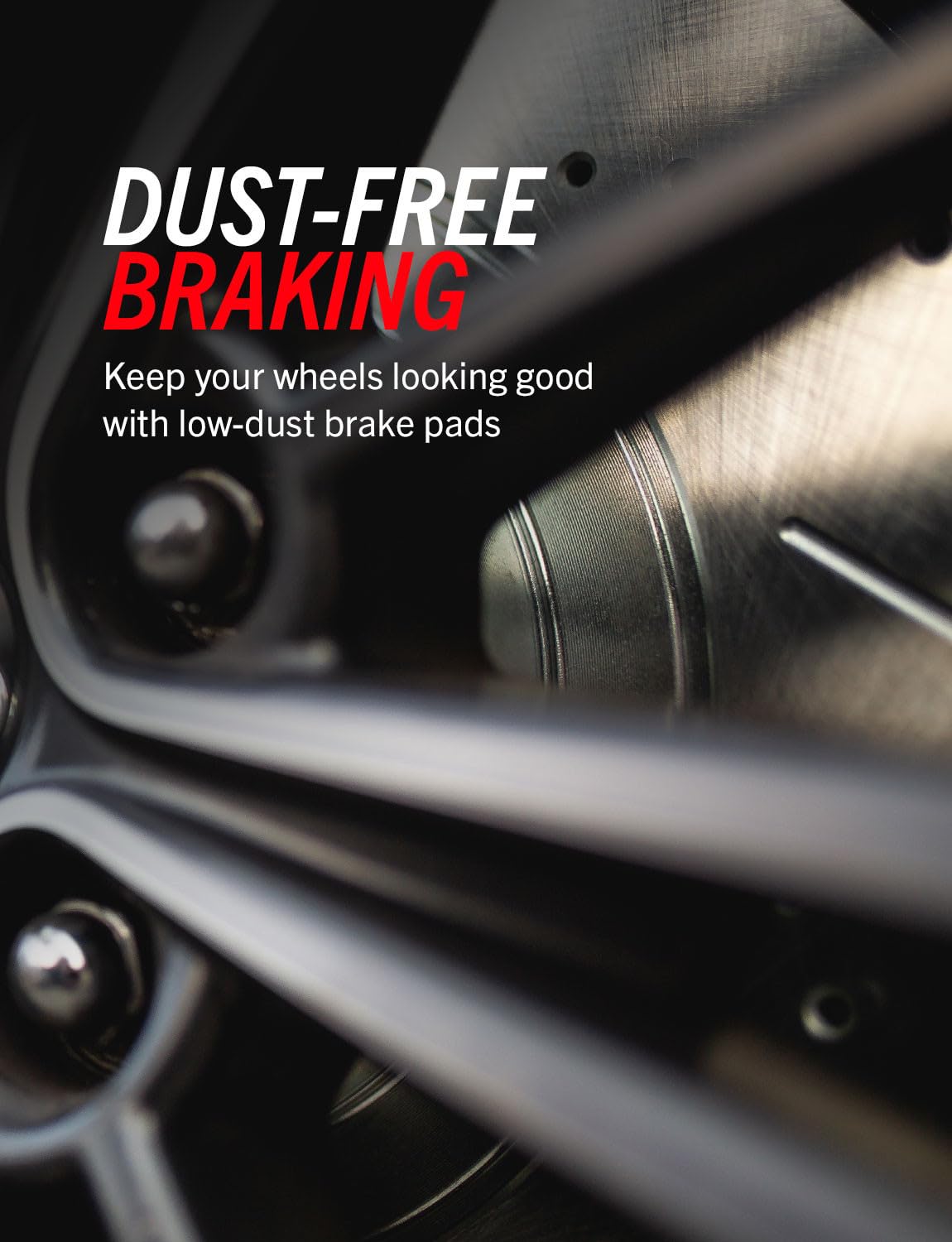 Front Brake Pad & Rotor Kit W8295