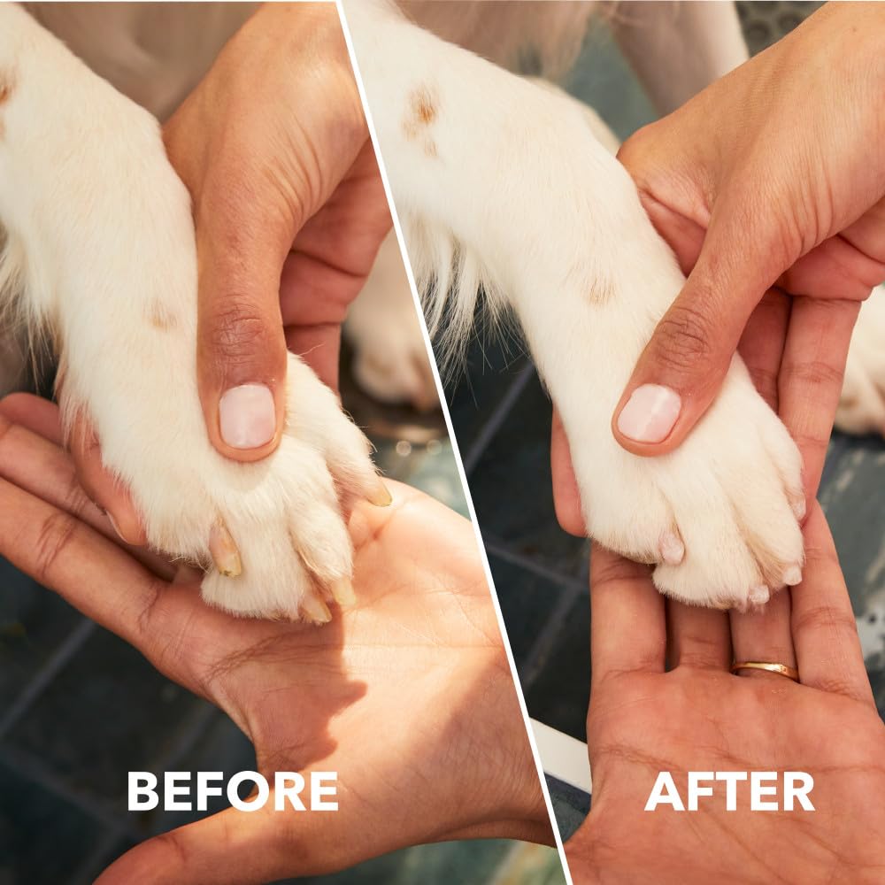 Dog Nail Grinder and Trimmer, Pet Grooming Kit A616683