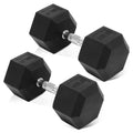Rubber Encased Hex Dumbbell Set of 2 V2169