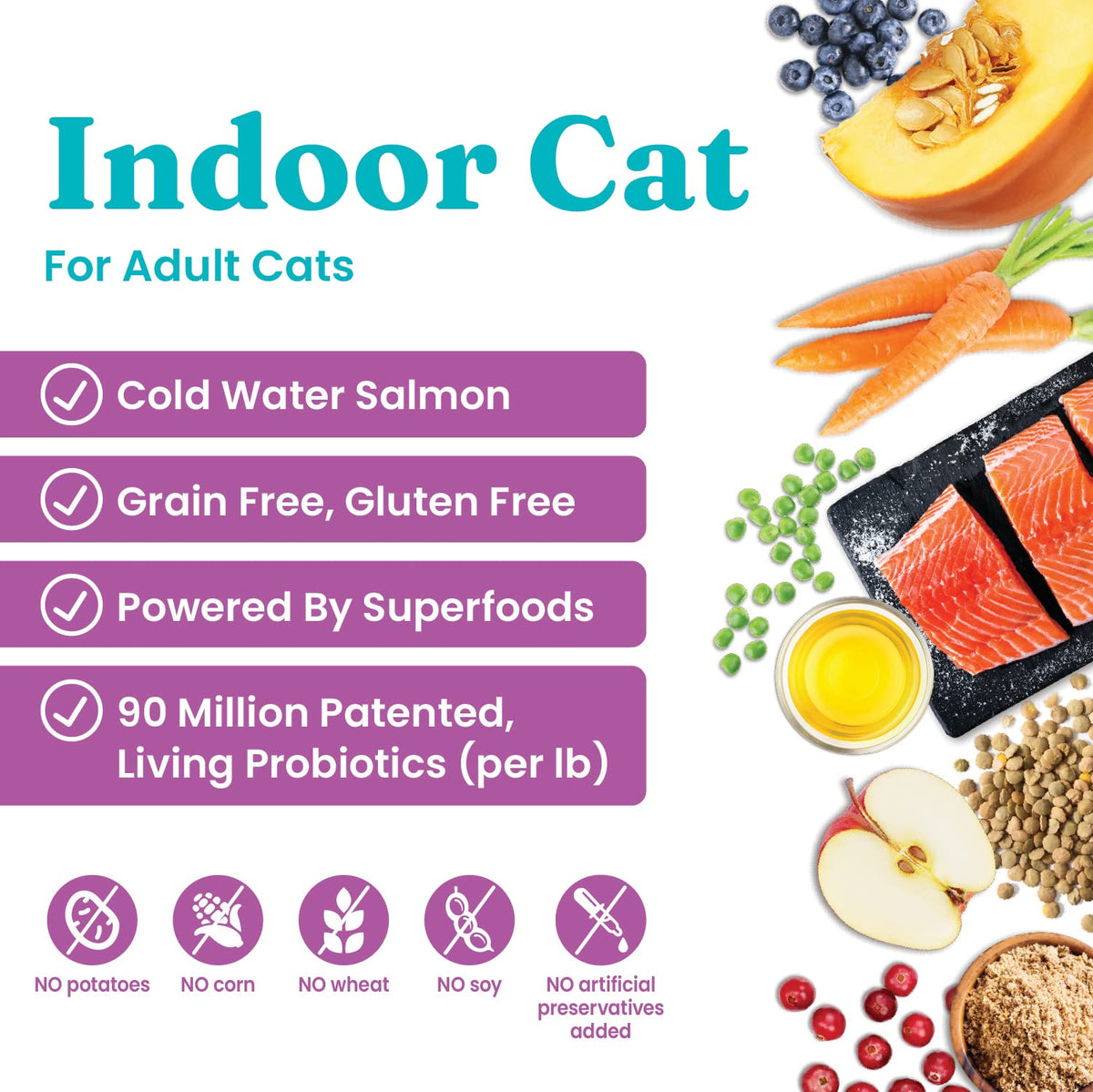 Salmon Dry Cat Food and Wet Cat Food Variety Pack V4495