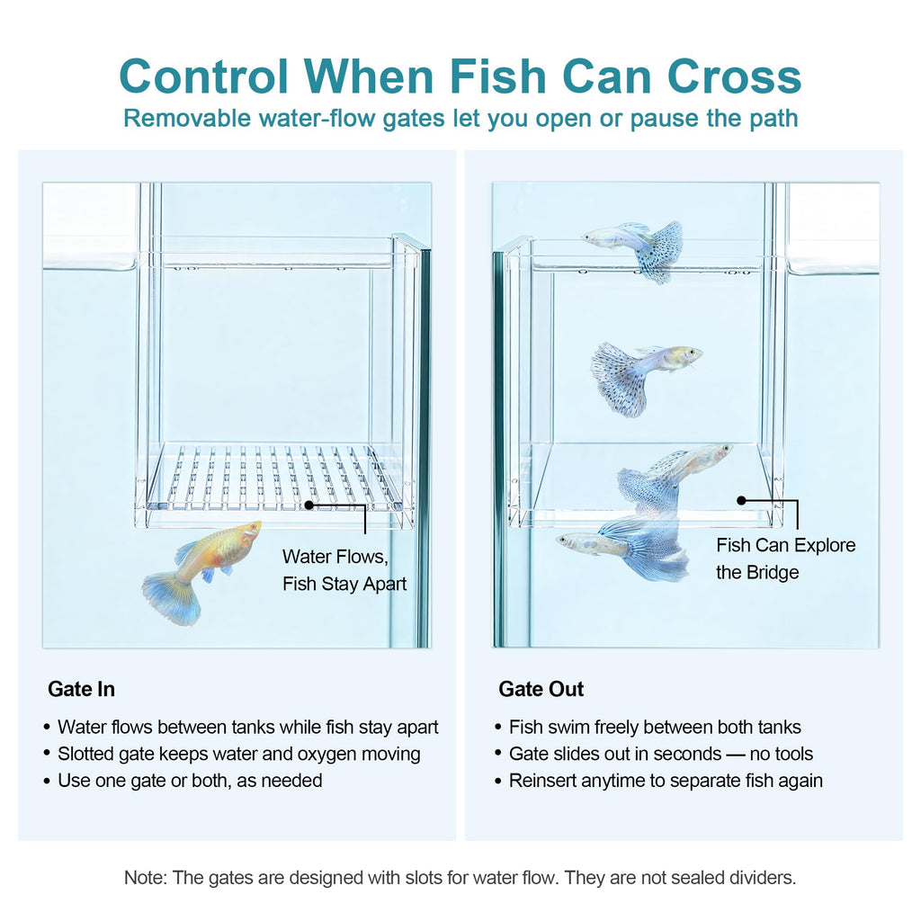 Aquarium Bridge Fish Tank Kit F167537