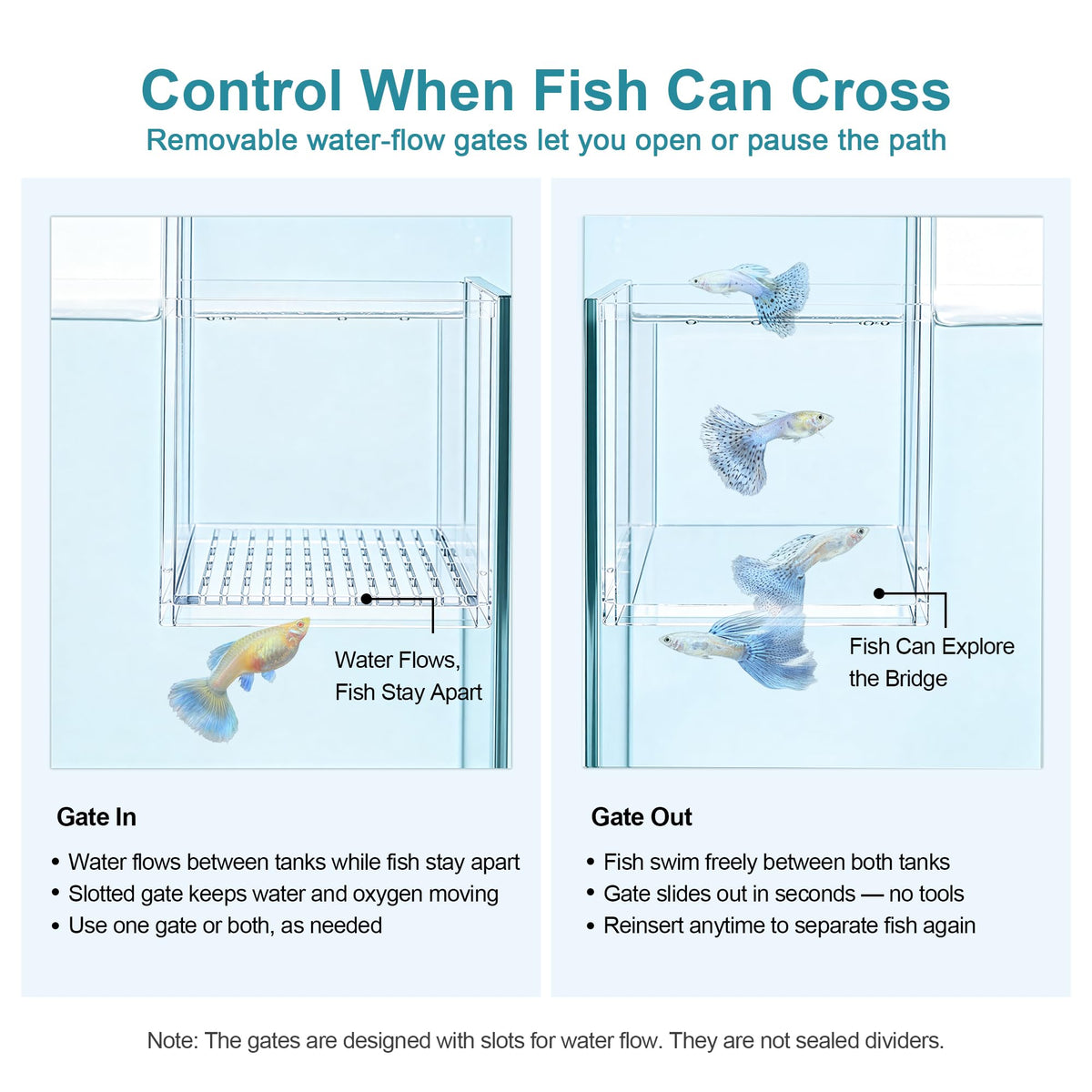 Aquarium Bridge Fish Tank Kit F167537