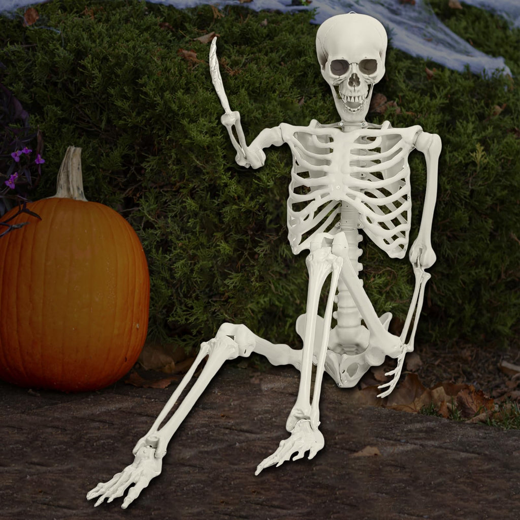 5.4FT Poseable Skeleton with Movable Joints S8761