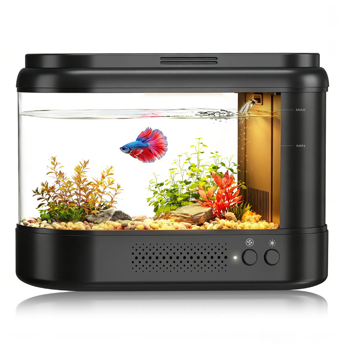 Black 1 Gallon Acrylic Aquarium Kit W774