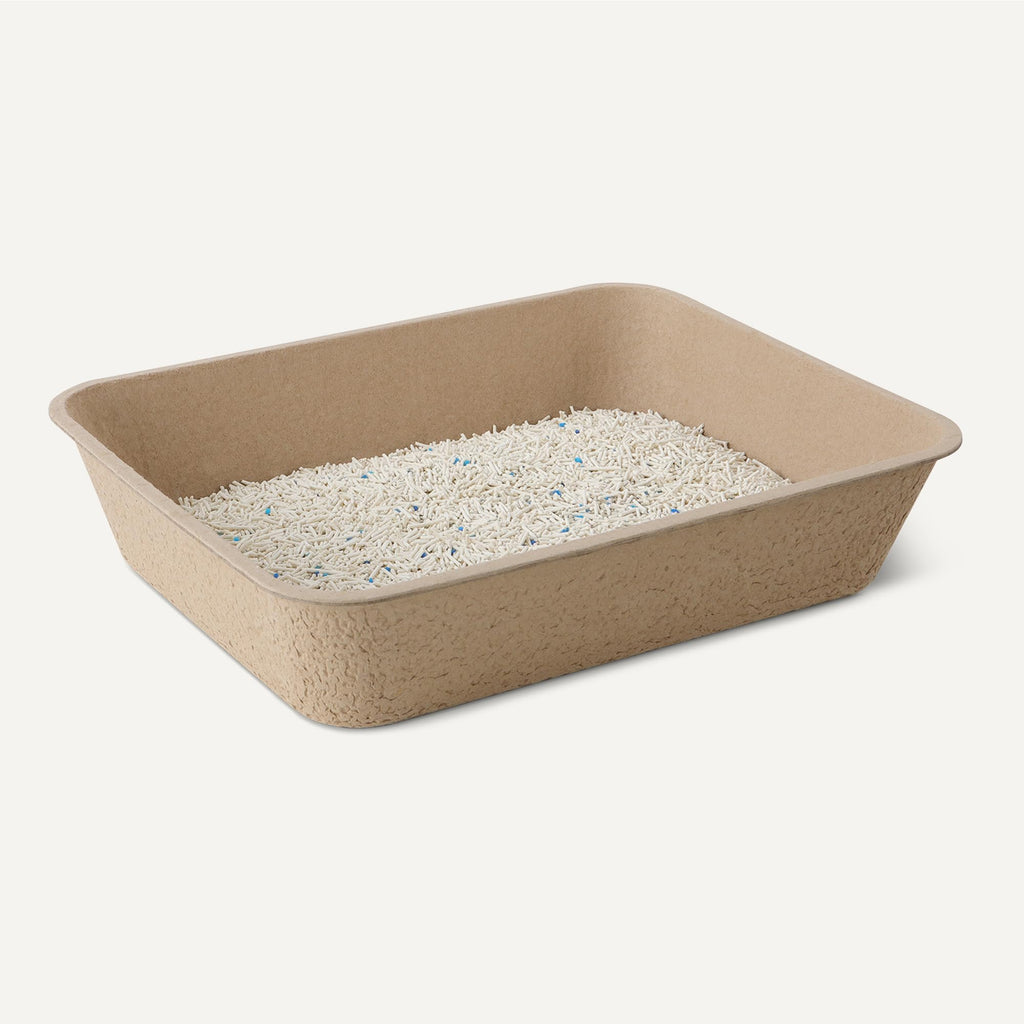 Disposable Cat Litter Box Large 6-Pack S207830