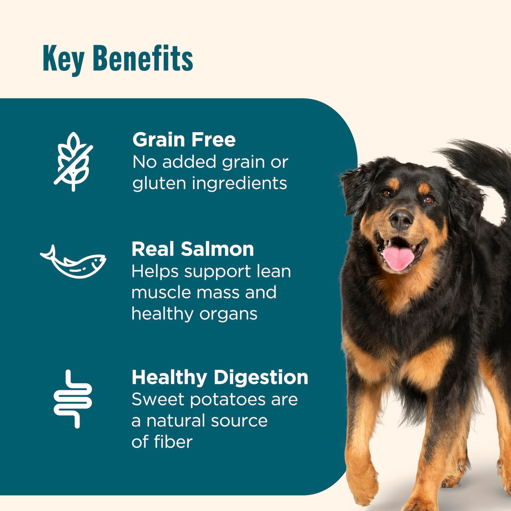 Grain Free Salmon Dry Dog Food 23 lb. Bag P1983