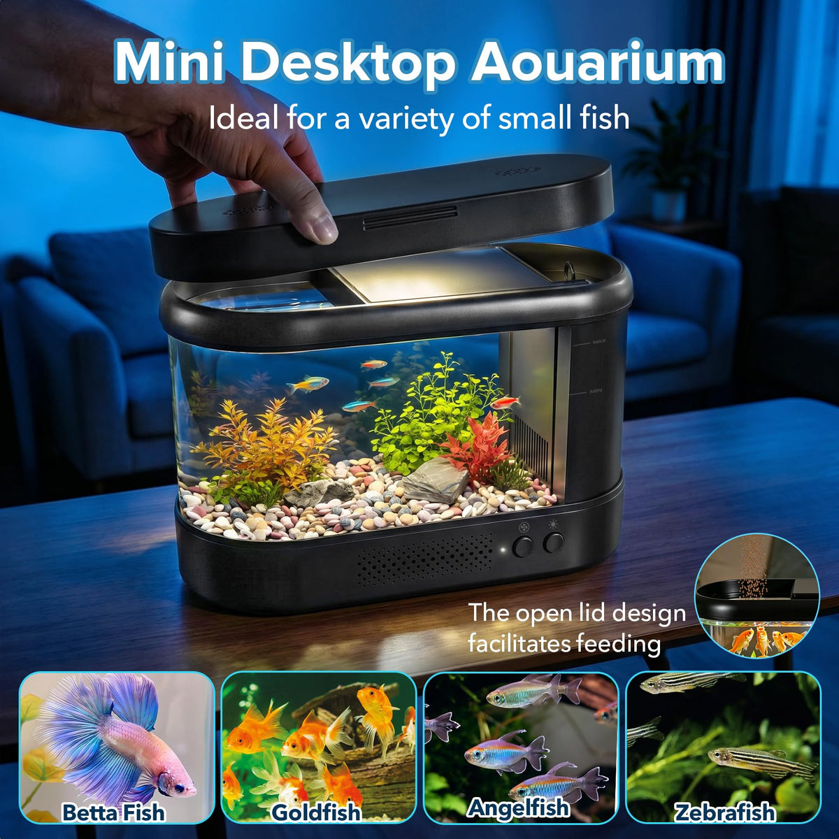 Black 1 Gallon Acrylic Aquarium Kit W774