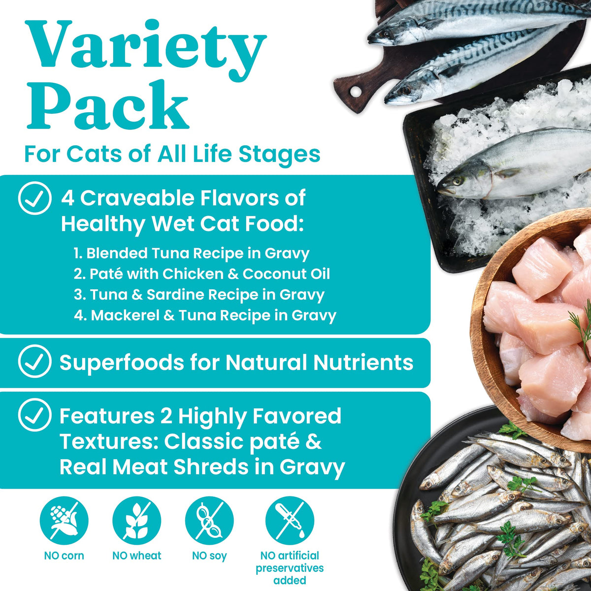 Salmon Dry Cat Food and Wet Cat Food Variety Pack V4495