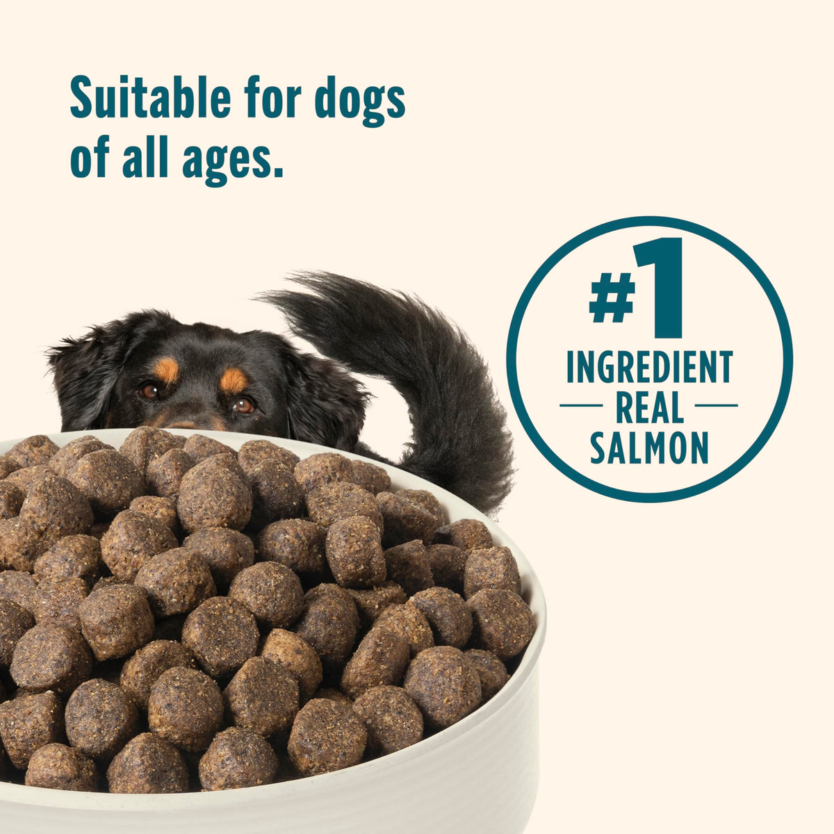 Grain Free Salmon Dry Dog Food 23 lb. Bag P1983