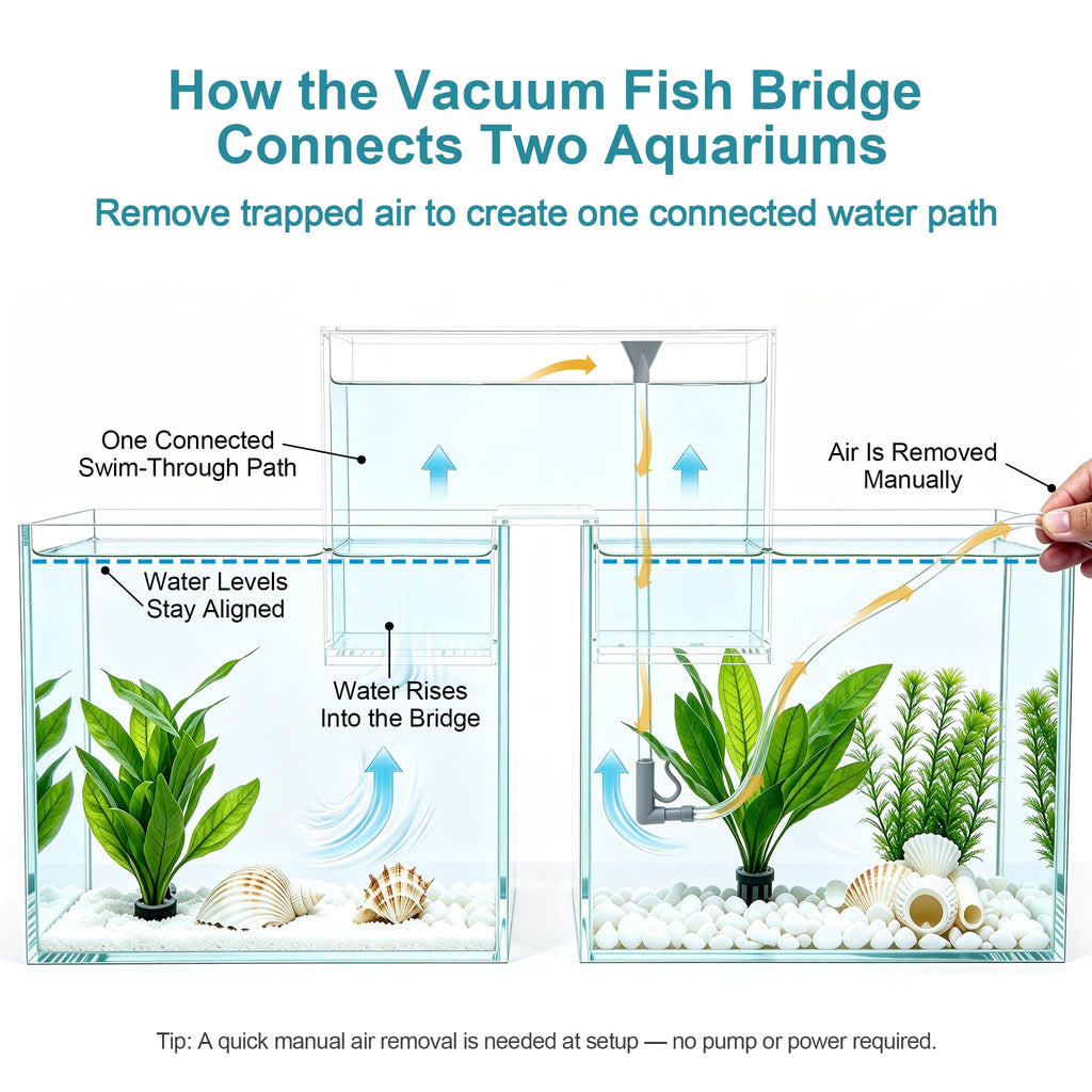 Aquarium Bridge Fish Tank Kit F167537