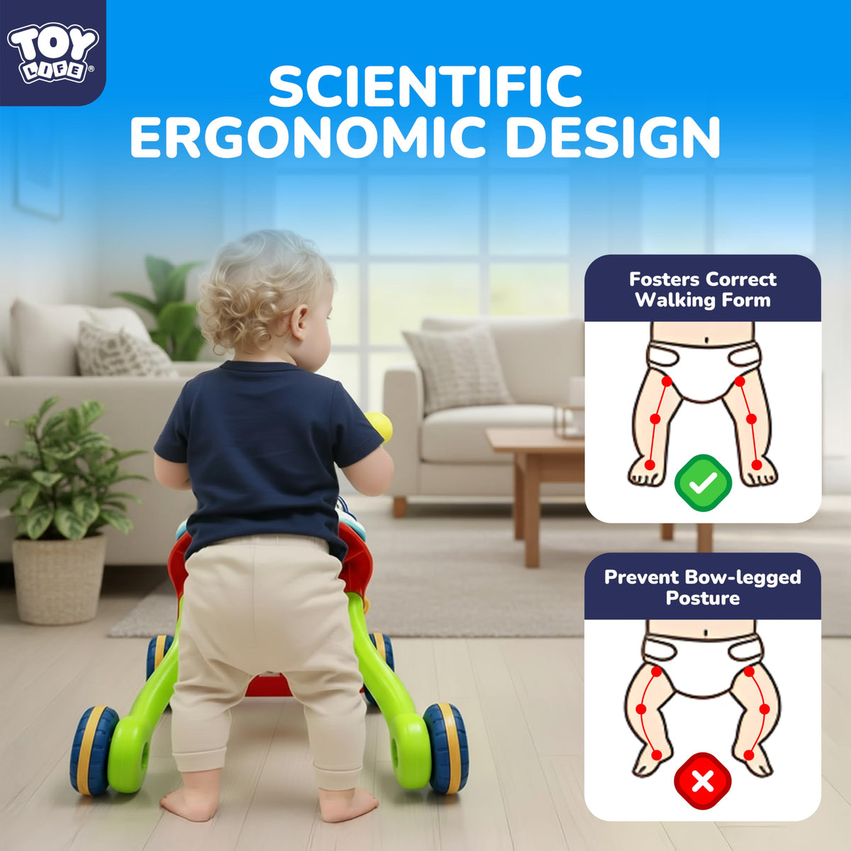 3-in-1 Baby Push Walker & Activity Center F80773
